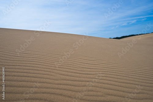 鳥取砂丘と風紋 © ゆきと