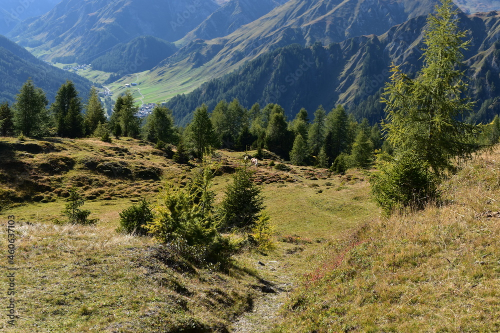 Fototapeta premium Österreich-Alpen