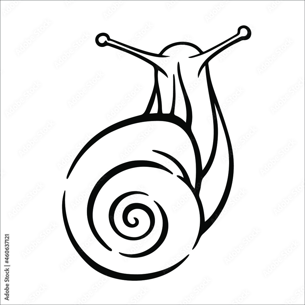 Vector black and white linear illustration of a snail Stock Vector ...