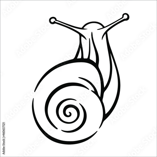 Vector black and white linear illustration of a snail