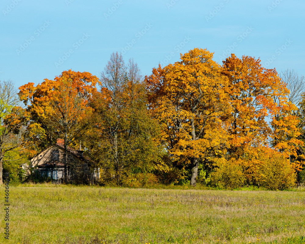 Beautiful country house with autumn oranges and yellow-green trees as well as a meadow and blue sky