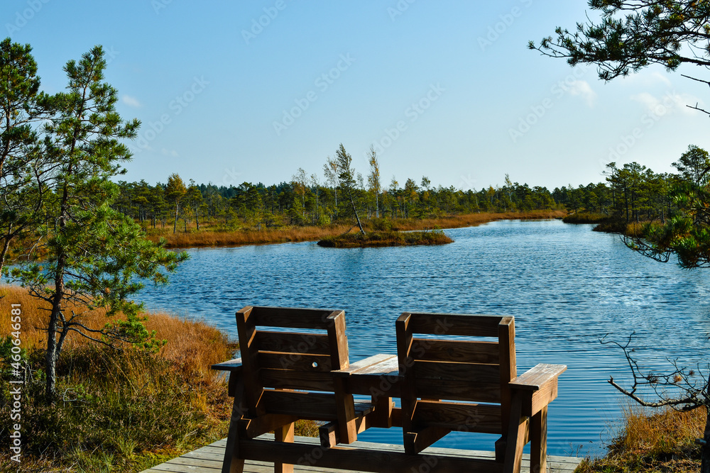 bench in the forest