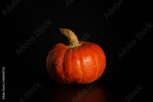 Orange pumpkin on a black background