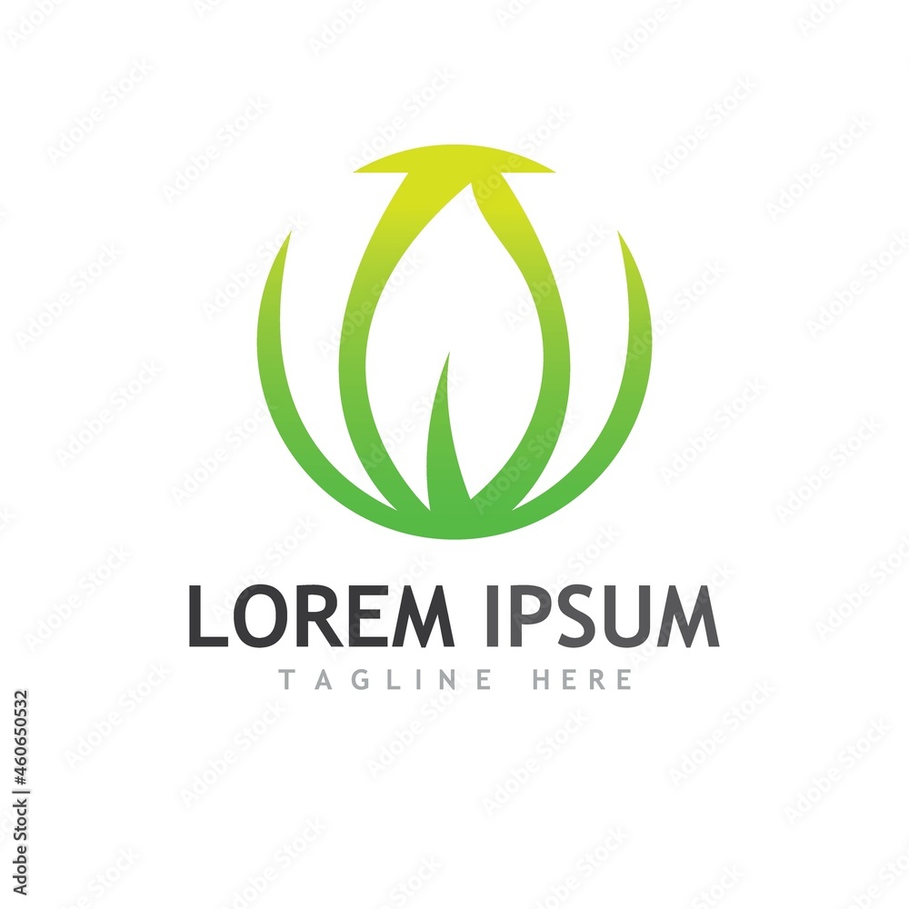 Fototapeta premium leaf logo and vector images