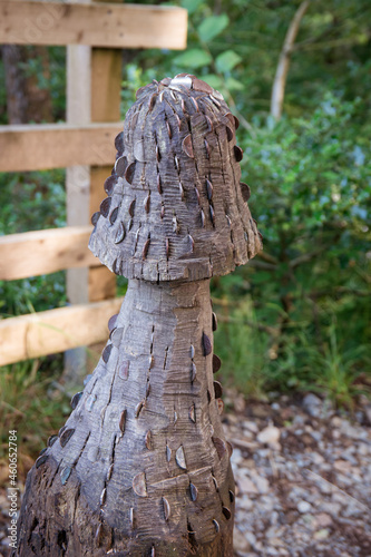 Carved toadstool or mushroom from a tree tunk used as a coin money tree for wishes photo