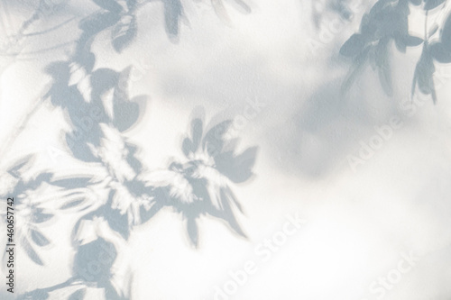Leaf shadow and light on wall blur background. Nature tropical leaves tree branch shadow overlay effect foliage mockup