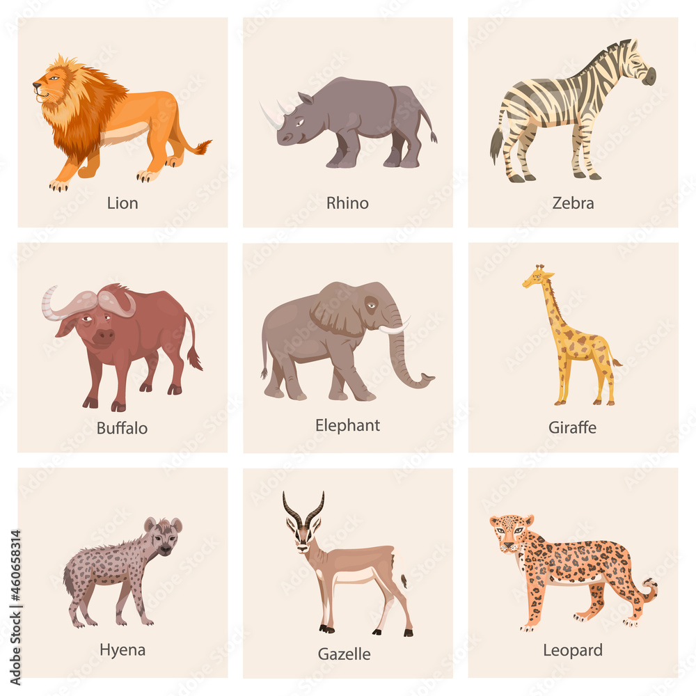 Fototapeta premium African Savannah Wild Animal Set. Lion, Rhino, Zebra, Buffalo, Giraffe, Flamingo, Leopard, Gazelle, Elephant, Hyena. Flat Vector Illustration. Animals of Africa. Savannh Safari Concept