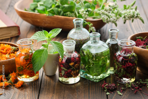 Bottles of essential oil or infusion of herbs and berries - calendula, mint, heather, monarda bergamot, medicinal healing plants on background. Alternative medicine.
