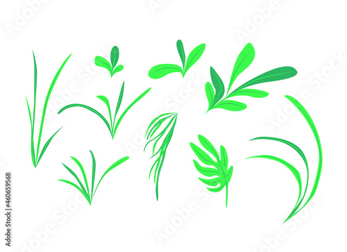 Set of hand drawn vector. Cartoon illustration. Illustration set of green leaves