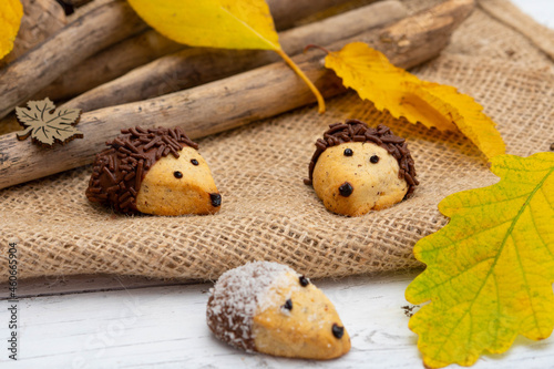 funny baked hedgehogs for autumn time