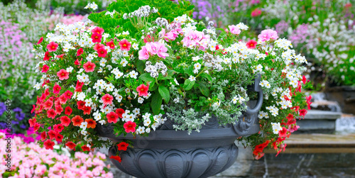 Foto Beautiful flower arrangement in a vase in a summer park