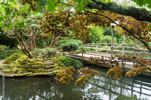 Fototapeta Naklejka Na Ścianę i Meble -  Japanese garden with a wooden bridge over a pond with coy carp