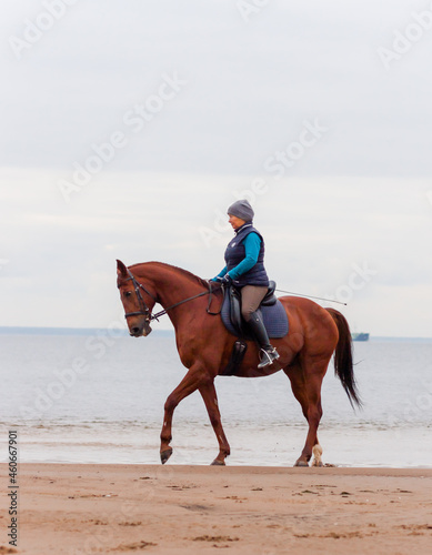 a rider on a red horse on the shore of the bay © Viktoria Suslova
