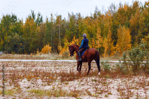  rider on a red horse on the background of an autumn landscape