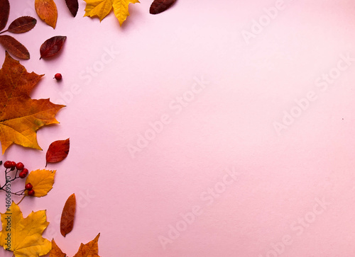 Autumn border banner with natural dried leaves and red berries on bright background  top view  copy space. Autumn  thanksgiving day web banner background  cozy flat lay. Lay out  top view.  