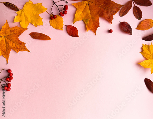 Autumn border banner with natural dried leaves and red berries on bright background, top view, copy space. Autumn, thanksgiving day web banner background, cozy flat lay. Lay out, top view.	
