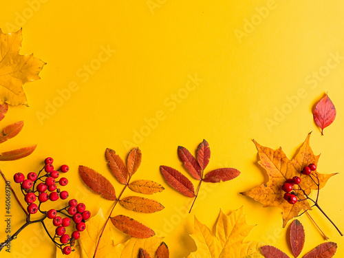 Autumn border banner with natural dried leaves and red berries on bright yellow background, top view, copy space. Autumn, thanksgiving day web banner background, cozy flat lay. Lay out, top view.