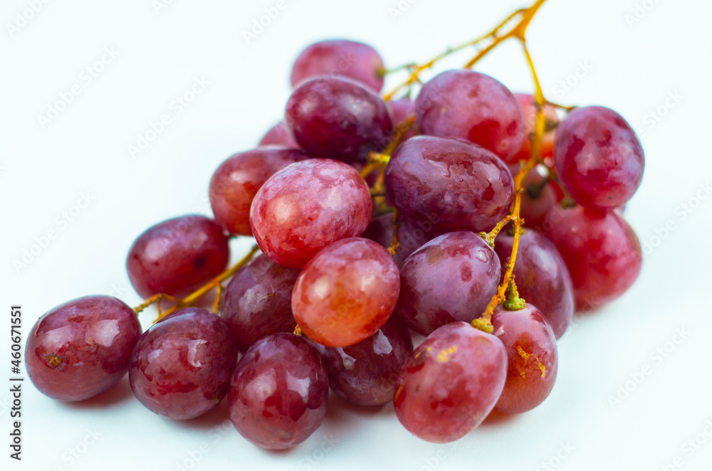 Pink grapes on the vine Pink grapes on the vine
