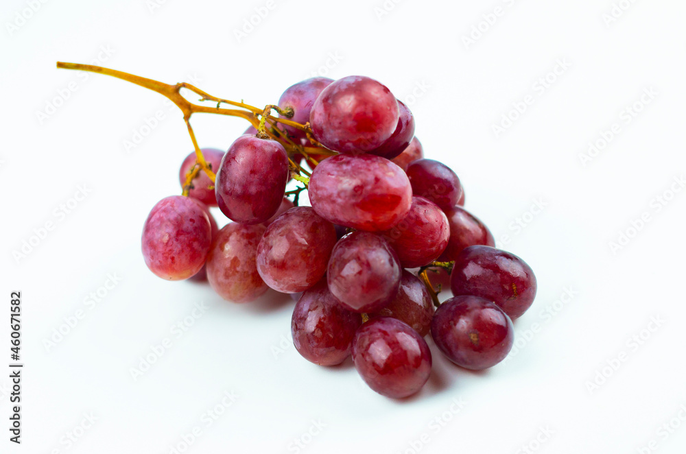 Fototapeta premium Pink grapes on the vine