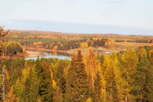 Beautiful autumn landscape with yellow leaves on trees.