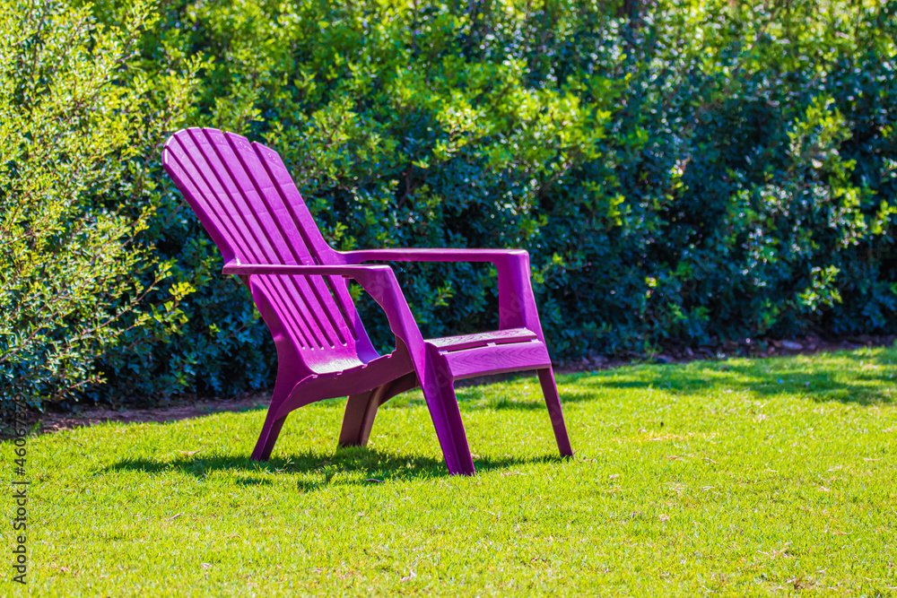 purple chair in the garden purple chair in the garden