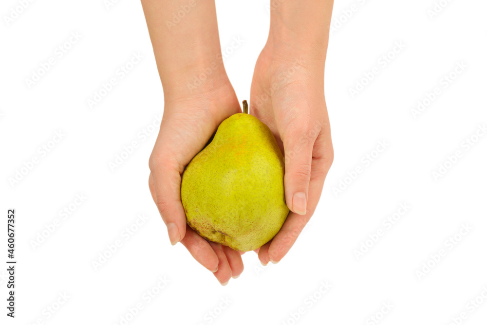 Green pear isolated on white background in woman hands. Green pear isolated on white background in woman hands.