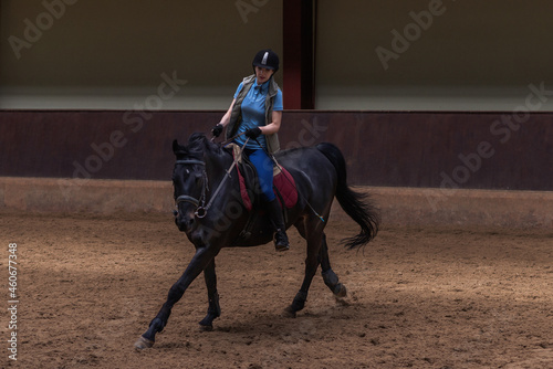 Woman riding a horse. Galloping horse.