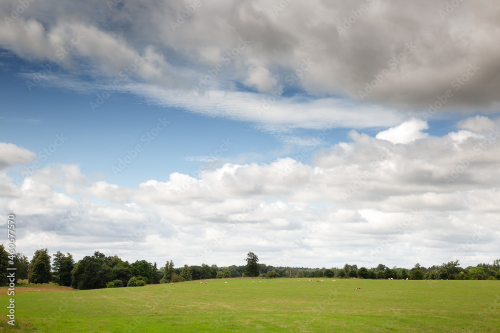 Buckinghamshire countryside in the uk Buckinghamshire countryside in the uk