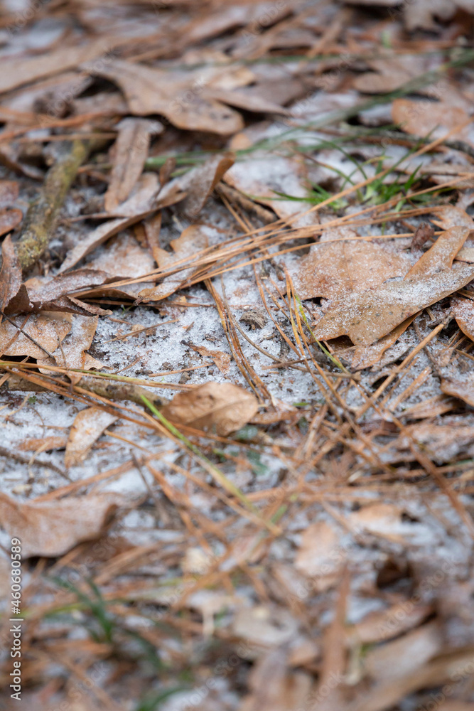 Sleet on the Ground Sleet on the Ground