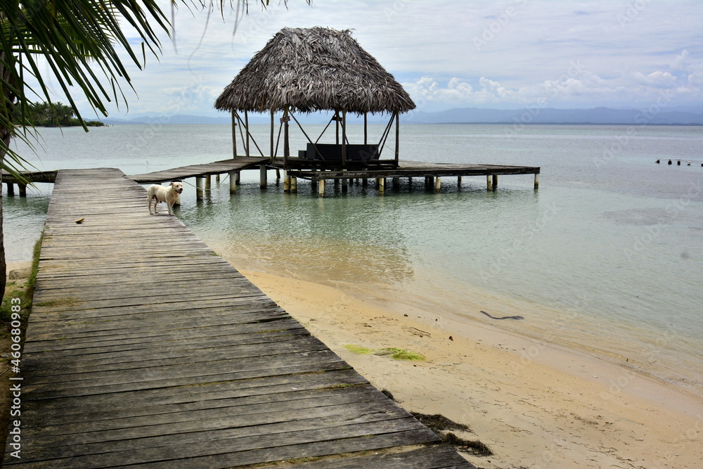 Paisaje de Boca de Drago, en el oeste de la isla de Bocas del Toro, en el noroeste de Panamá
