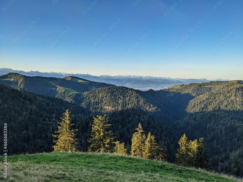 Schnebelhorn, highest point in the canton of Zurich. Sunset on the hill with a view of the swiss alps. Green Farmland 