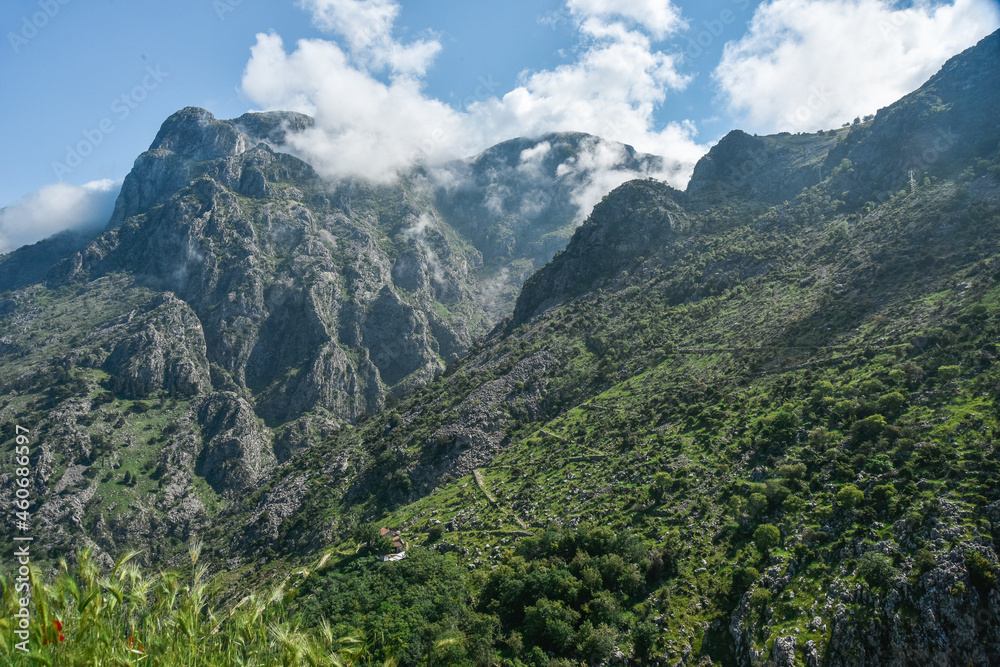 Obraz premium mountains in the mountains