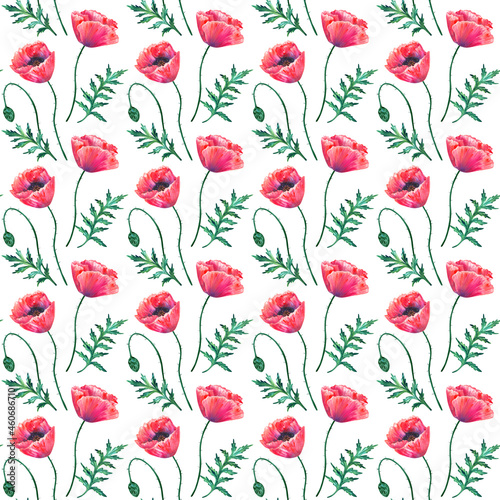 Seamless pattern with red poppy flowers. Watercolor papaver. Green stems and leaves. Hand drawn botanical illustration. On white. Texture for print  fabric  textile  wallpaper.