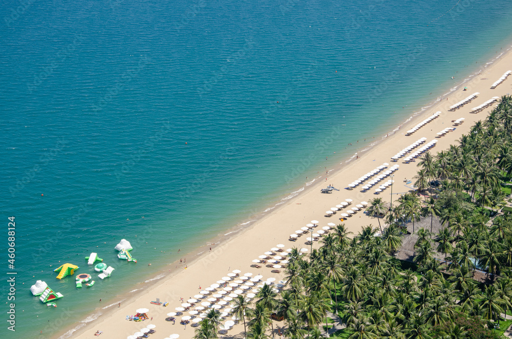 Aerial view of the beach and coconut palms. Nha Trang, Vietnam.