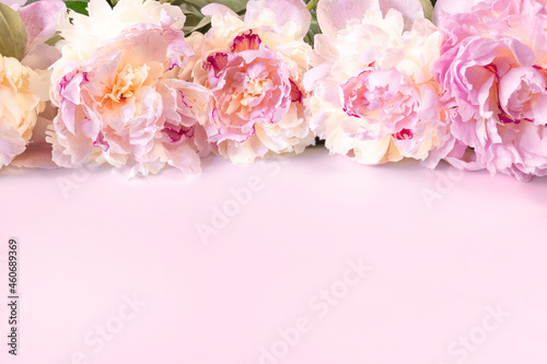Fototapeta Naklejka Na Ścianę i Meble -  Bouquet of beige-pink peony flowers on a pink paper background with space for text. Image for the design of greeting cards on the theme of wedding, Valentine's Day, declaration of love
