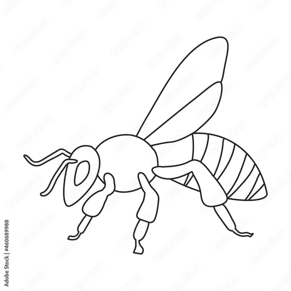 Honey bee vector outline icon. Vector illustration animal of honeybee on white background. Isolated outline illustration icon of honey bee. Honey bee vector outline icon. Vector illustration animal of honeybee on white background. Isolated outline illustration icon of honey bee.