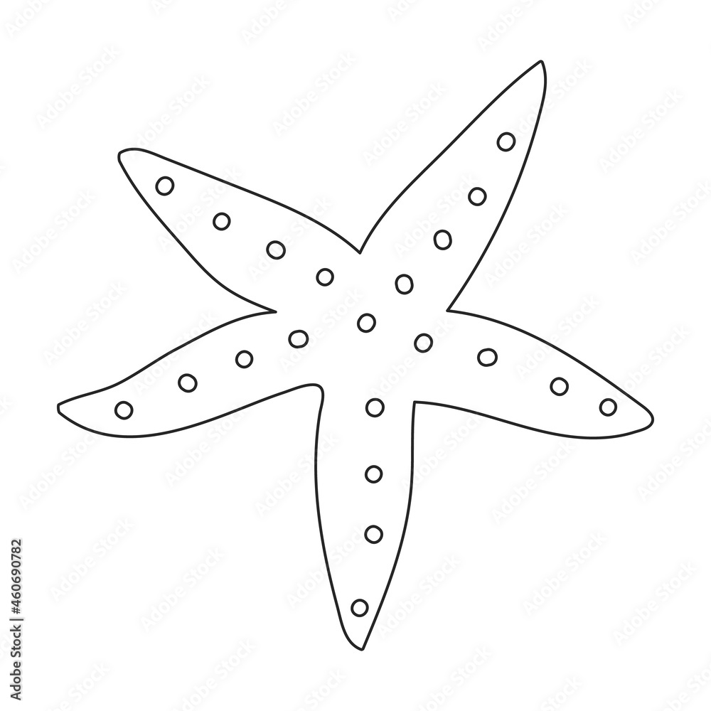Sea starfish vector outline icon. Vector illustration star sea on white ...