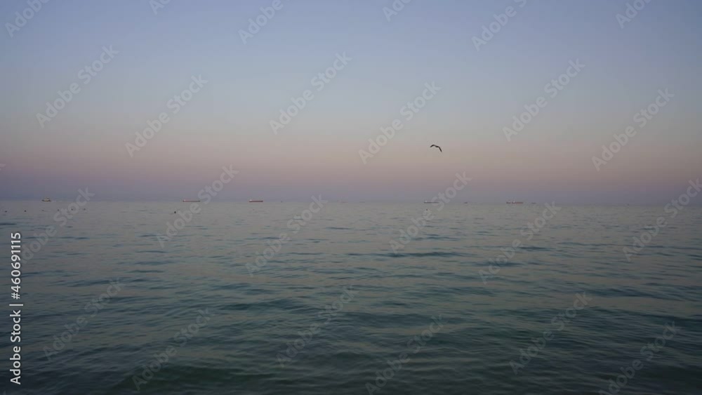Calm sea surface under clear evening sky with flying seagull and cargo ships on horizon line at sunset Calm sea surface under clear evening sky with flying seagull and cargo ships on horizon line at sunset