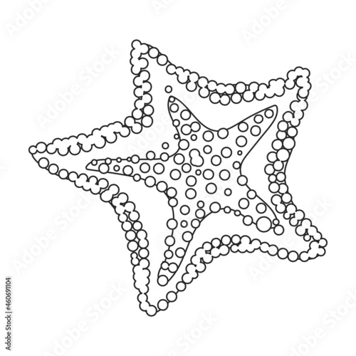 Sea starfish vector outline icon. Vector illustration star sea on white background. Isolated outline illustration icon of sea starfish .