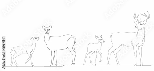one line drawing deer and fawn vector, isolated