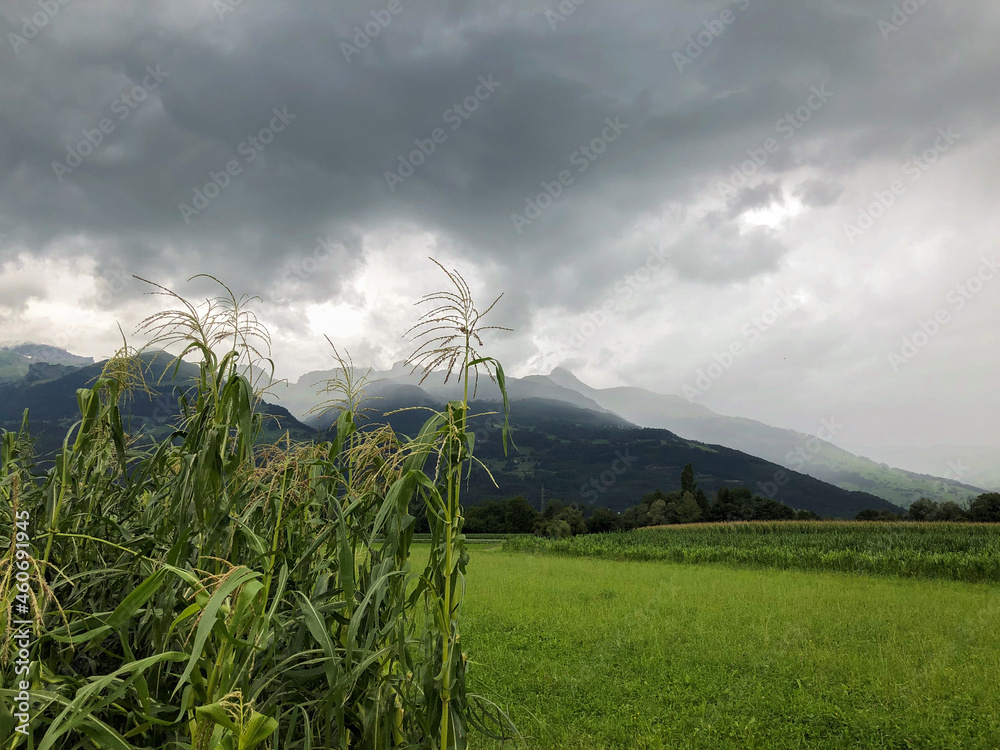 Fototapeta premium SCHAAN, LIECHTENSTEIN, AUGUST 3, 2021 Bad weather over a green field