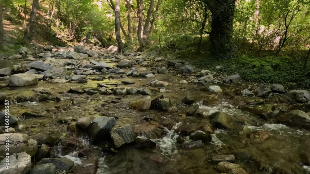 Beautiful river and forest Beautiful river and forest