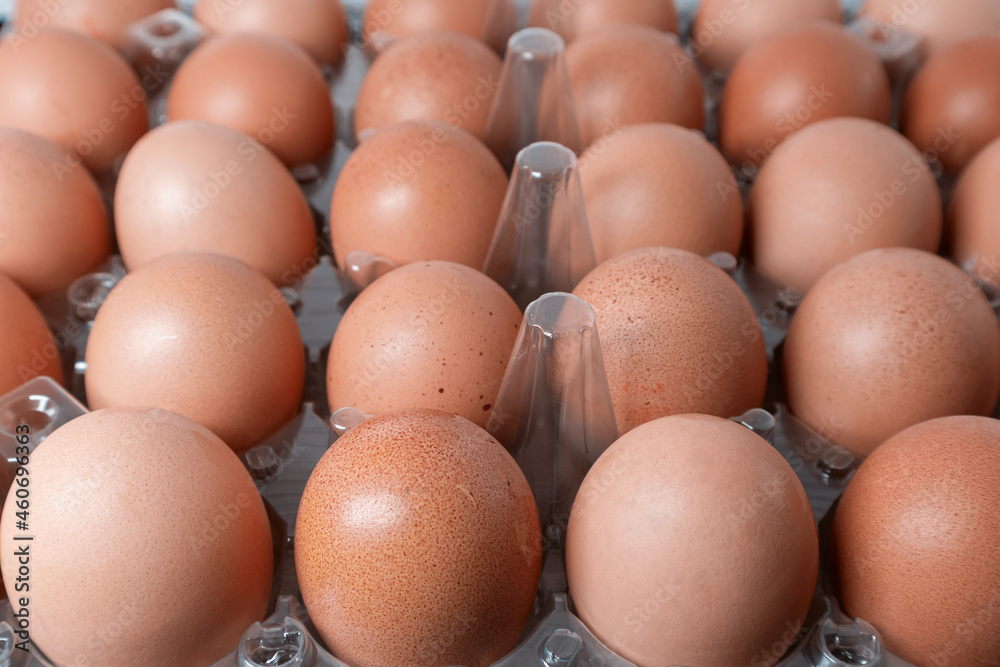 Chicken eggs in plastic packaging close - up. Chicken farm products and egg packing. Soft focus Chicken eggs in plastic packaging close - up. Chicken farm products and egg packing. Soft focus