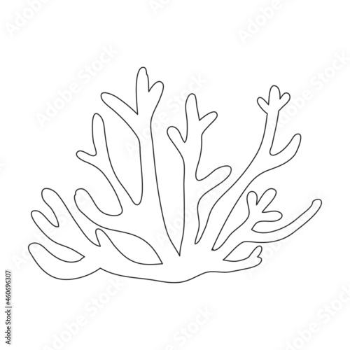 Coral vector outline icon. Vector illustration reef of sea on white background. Isolated outline illustration icon of coral reef .