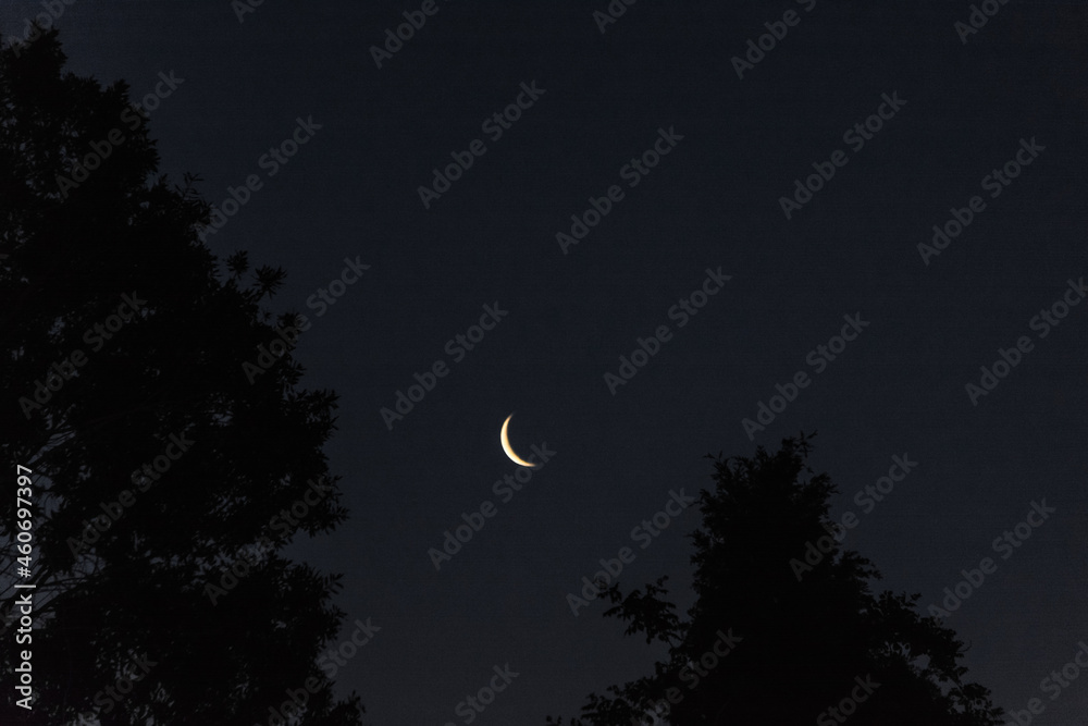 moon in dark sky