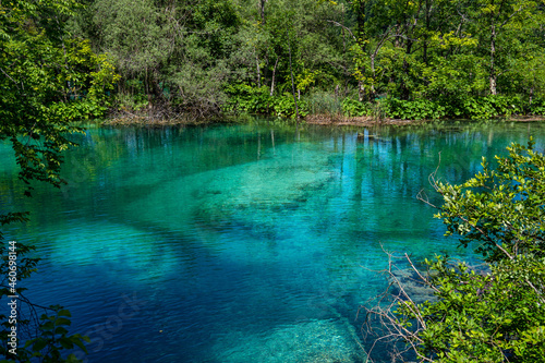 Fototapeta Naklejka Na Ścianę i Meble -  Beautiful landscape in the Plitvice Lakes National Park in Croatia