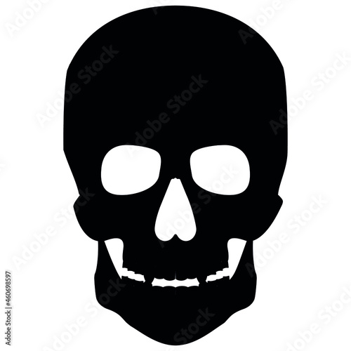 human remains of a skull skeleton on a white background EPS 10