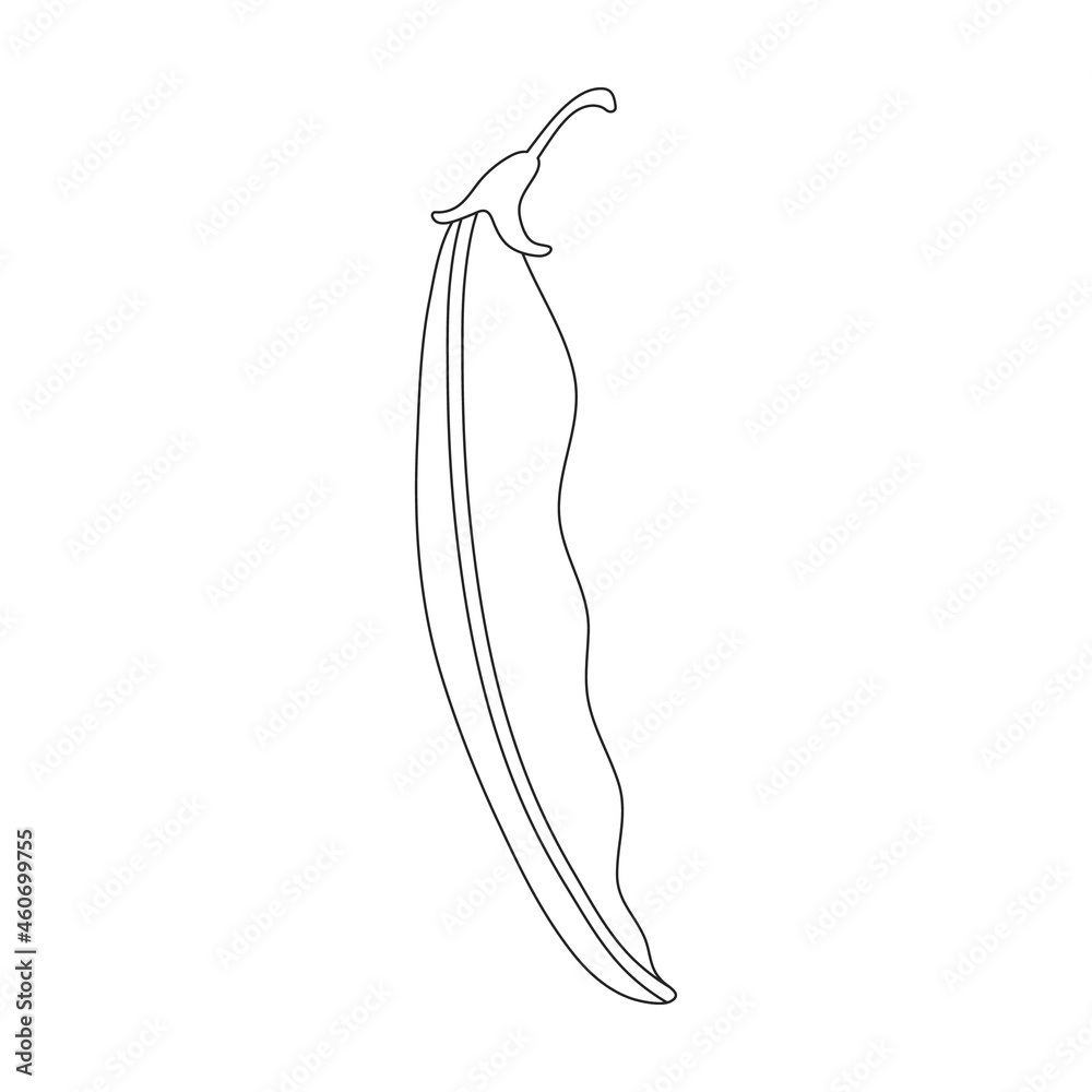 Beans pod vector outline icon. Vector illustration bean on white background. Isolated outline illustration icon of beans pod. Beans pod vector outline icon. Vector illustration bean on white background. Isolated outline illustration icon of beans pod.