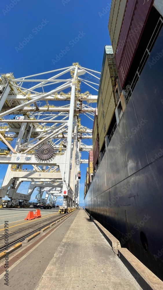 Port, Container Terminal, Port facility. Cranes, Loading, Global transportation. 