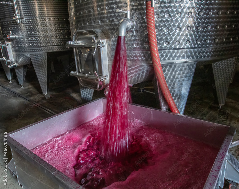 Winery producing wine, Grape ju in tank. Wine fermentation tanks. Wine